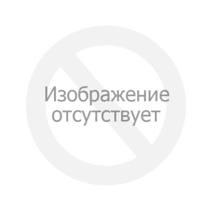Калибрахоа MINIFAMOUS NEO TRUE YELLOW