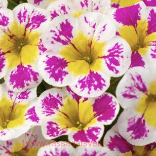  candy shop neon pink 14