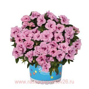 Калибрахоа Aloha Double Soft Pink Eye 37