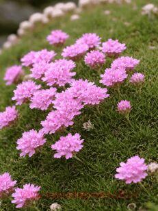 ������� ���������������� 7