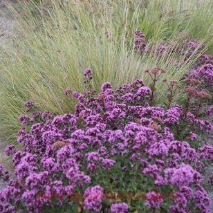 ������ Vitara Cascata Green 15