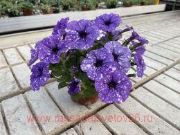  Splash Dance Moon Walk 162