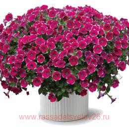  Cascadias Rim Chianti 210