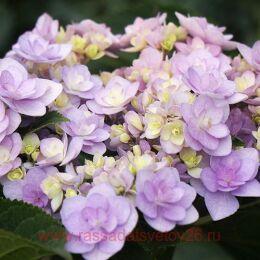   You & Me Forever 153