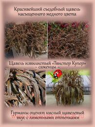 ������ ����� ����� ���������� ��������