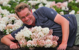   Groundbreaker Blush 205