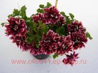   Quantock Double Dymond 45