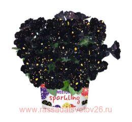 ������� Sparkling Night (Intrinsa) 104