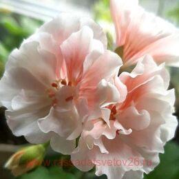 ���������� � ��������� 404