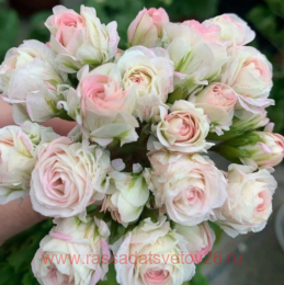 ���������� � ������� ������� 317