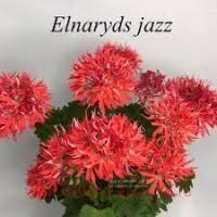  Elnaryds Jazz 219