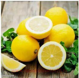  Hillary's Sweet Lemon 23