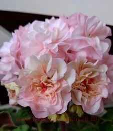 ���������� �� ������� �