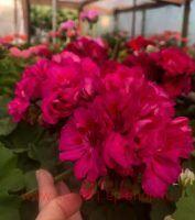 ���������� �������� ������� ����� 189