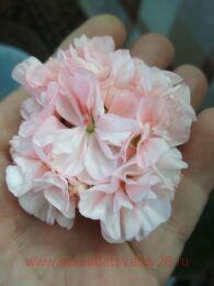 ���������� � ��������� 405