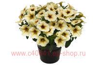   Beautical French Vanill 157