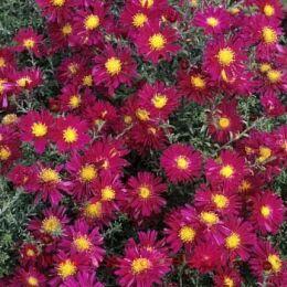  - Winston Churchill 17