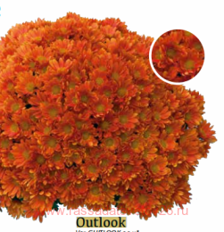 ���������� Outlook 10