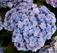   You &amp; Me Together 57