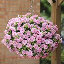  Tumbelina Victoria 97-1