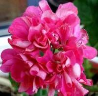 ���������� �� ������� 0