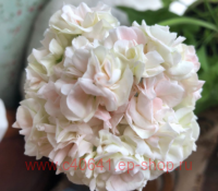 ���������� ��-������� �