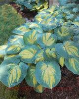  Great Expectations 20