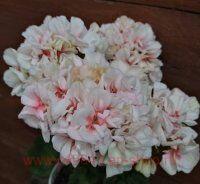 ���������� ��-������� 240