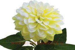 �������� Hypnotica 	Limonchello 41