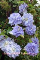  Mazury CRATER LAKE 17