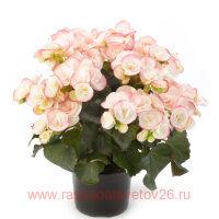   ILONA COLLECTION CAMILLA 8