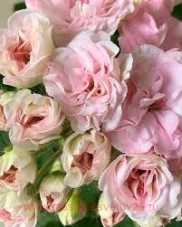 ���������� ��-���������