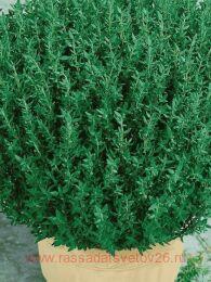 ������ ������������ Fredo 15