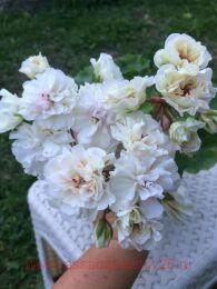 ���������� �� ������ 