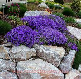  Hamburger Stadtpark 3