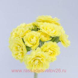  POLLYANNA Fresh Lemon 49