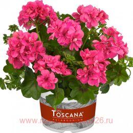 ���������� ������������ sunflair ana 83